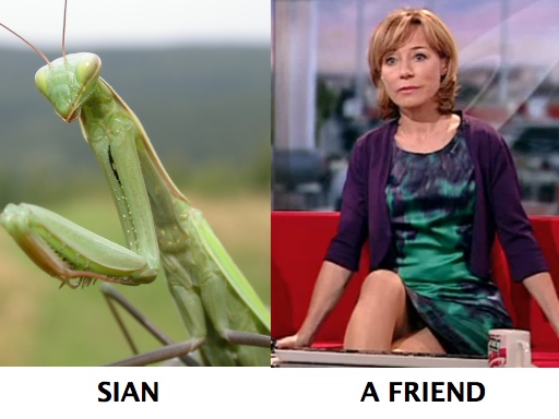 I feel I might like Sian Williams under different circumstances 